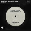 Arno Cost & Norman Doray – Show Luv (Extended Mix)