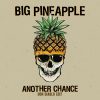 Big Pineapple – Another Chance (Don Diablo Extended Edit)