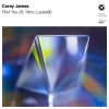 Corey James Feat. Nino Lucarelli – Find You (Extended Mix)