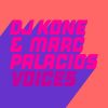 Dj Kone & Marc Palacios – Voices (Extended Mix)