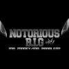 Notorious B.I.G – Mo Money Mo Problem’ (Naxsy Extented Remix)