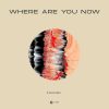 Stadiumx – Where Are You Now (Extended Mix)