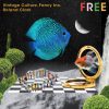 Vintage Culture & Fancy Inc Feat. Roland Clark – Free (Extended Mix)
